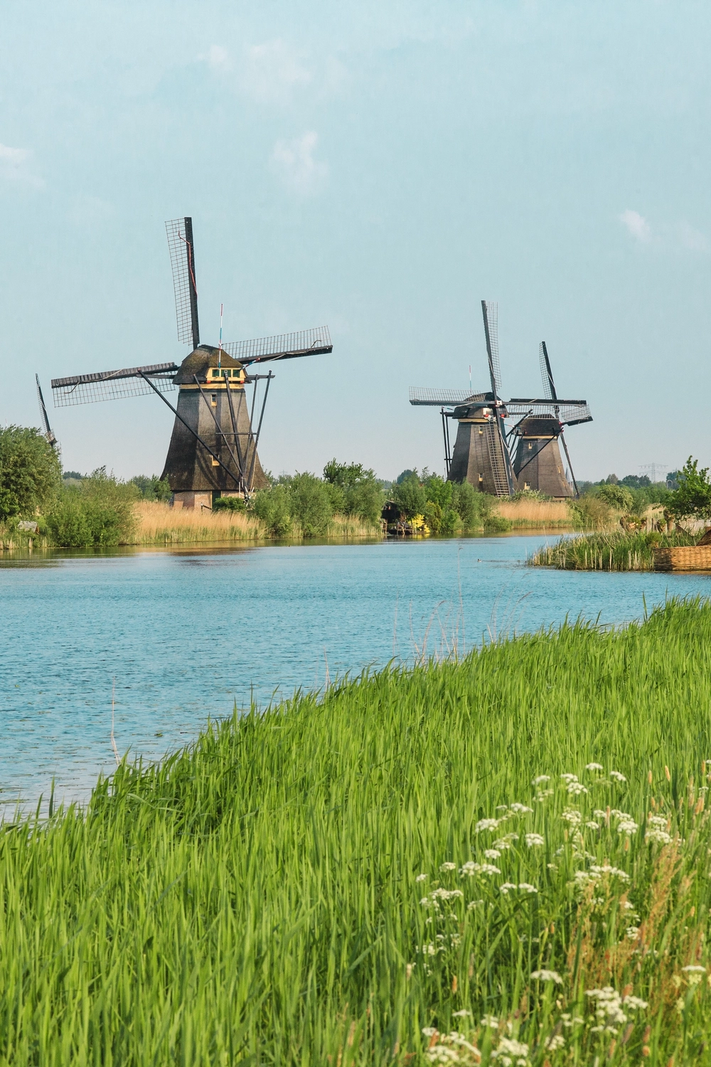 10 Interesting Things You Didn't Know About The Netherlands | Roaming ...