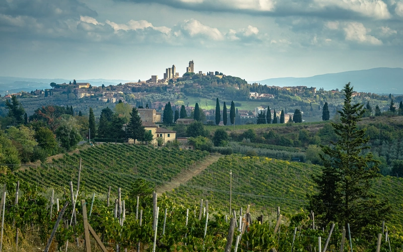 Panoramic view of vineyard against sky medieval tuscany town san gimignano italy